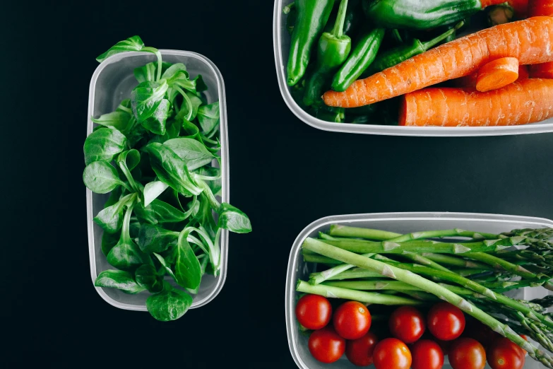 three plastic containers filled with different types of vegetables, by Sebastian Vrancx, pexels, fan favorite, lush greens, dark. no text, profile image