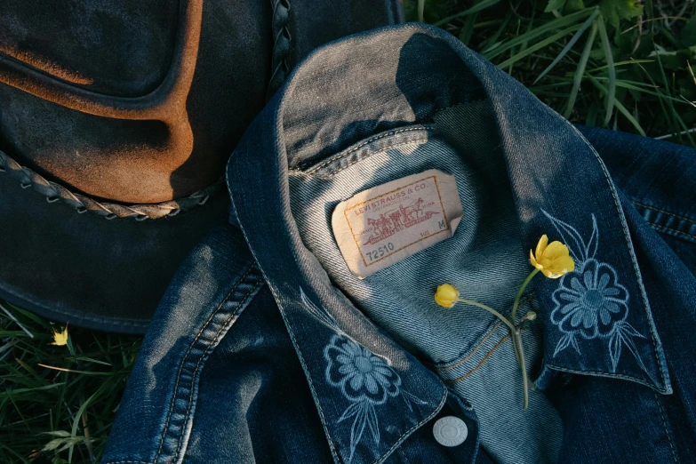 a blue jean jacket sitting on top of a lush green field, embroidered robes, labels, close-up from above, western setting