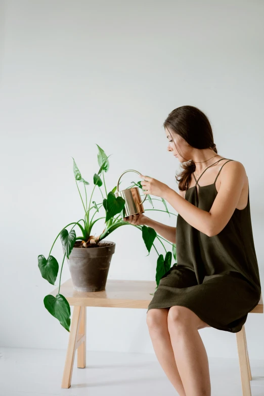 a woman sitting on a bench next to a potted plant, inspired by Constantin Hansen, minimalism, pouring techniques, sitting on a mocha-colored table, full product shot, she wears a dark green dress