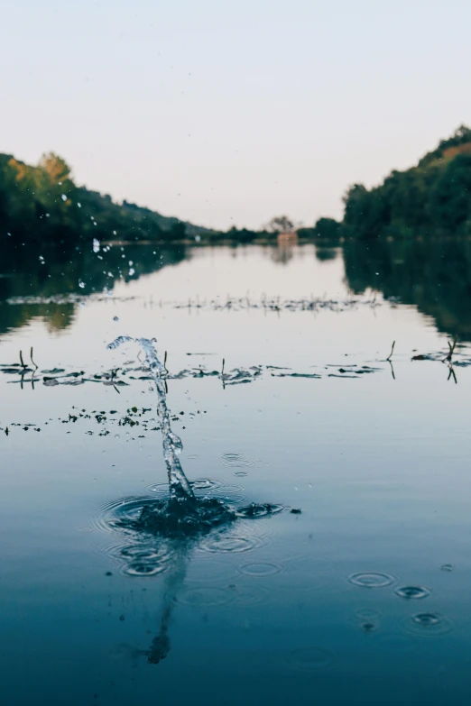 a large body of water with trees in the background, pexels contest winner, land art, taps with running water, mid view, hydration, floating crown