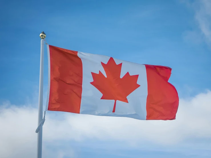 a canadian flag blowing in the wind, a portrait, pexels, hurufiyya, high quality image”, 8k resolution”, high level, profile image