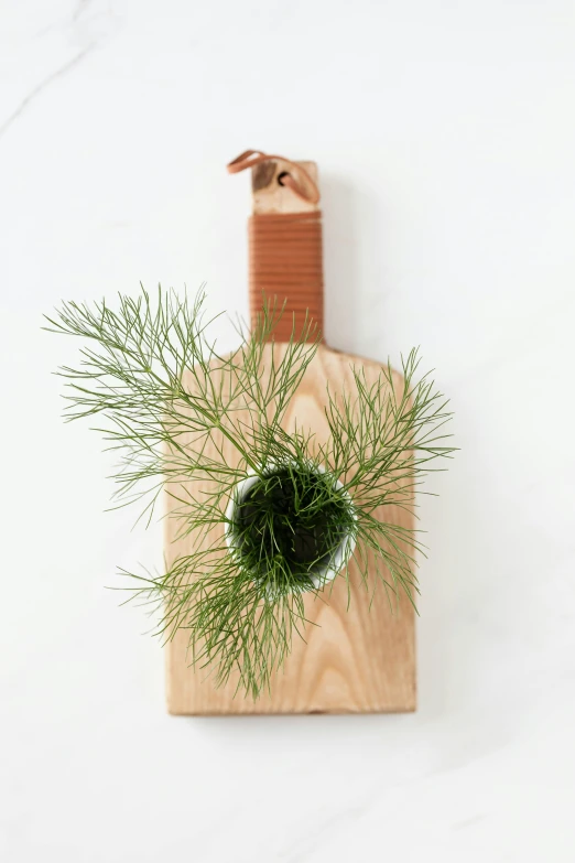 a wooden cutting board with a plant in it, spanish moss, cedar, medium, bottle