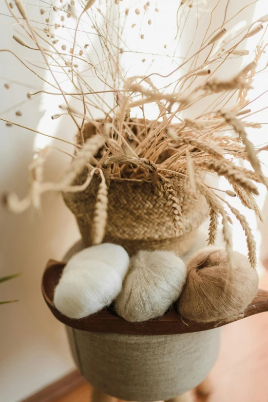 a potted plant sitting on top of a wooden table, sheep wool, browns and whites, collection product, cottagecore