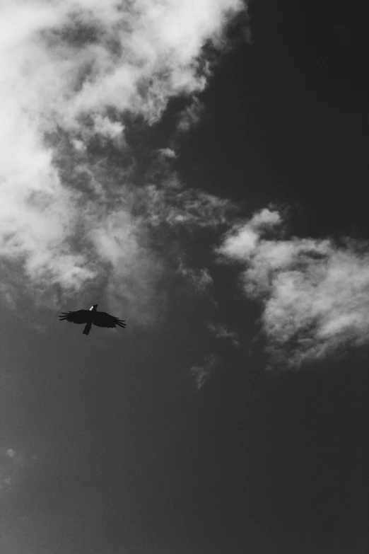 a black and white photo of a bird flying in the sky, inspired by Max Dupain, unsplash, ✨🕌🌙, loneliness, drone photograpghy, black clouds