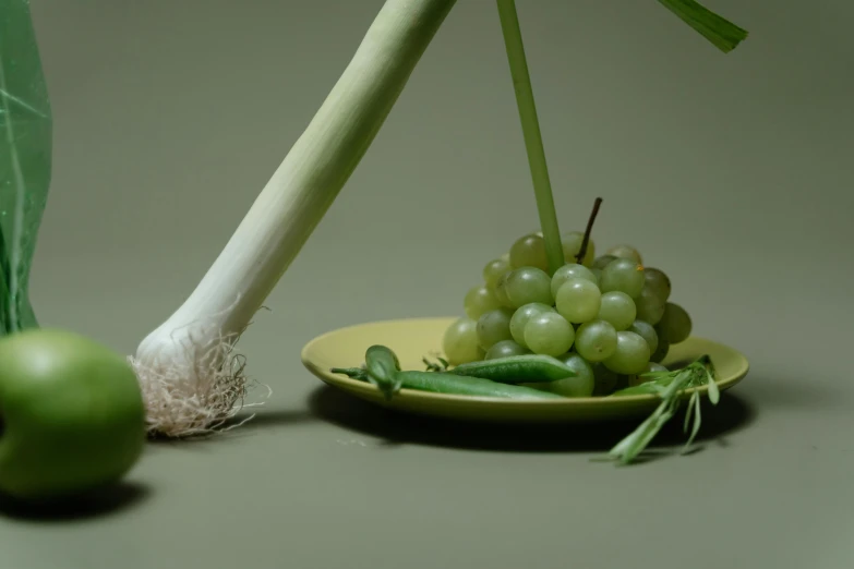 a close up of a plate of fruit and vegetables, inspired by Robert Mapplethorpe, cane, green, japan harvest, cast