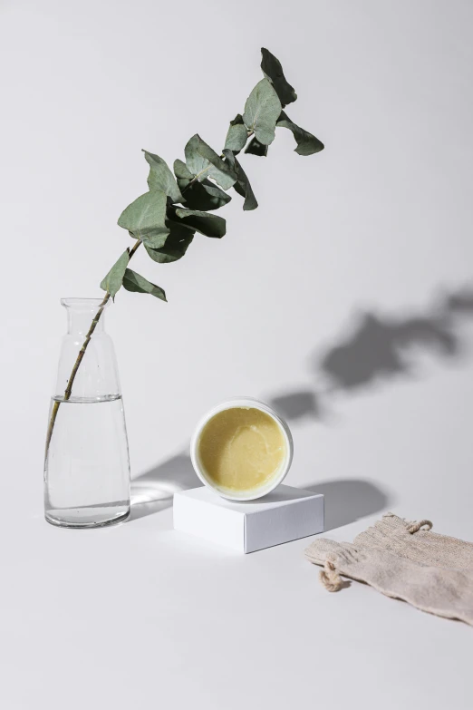 a close up of a vase with a plant in it, inspired by Ceferí Olivé, unsplash, minimalism, ingredients on the table, white and yellow scheme, skin care, product view