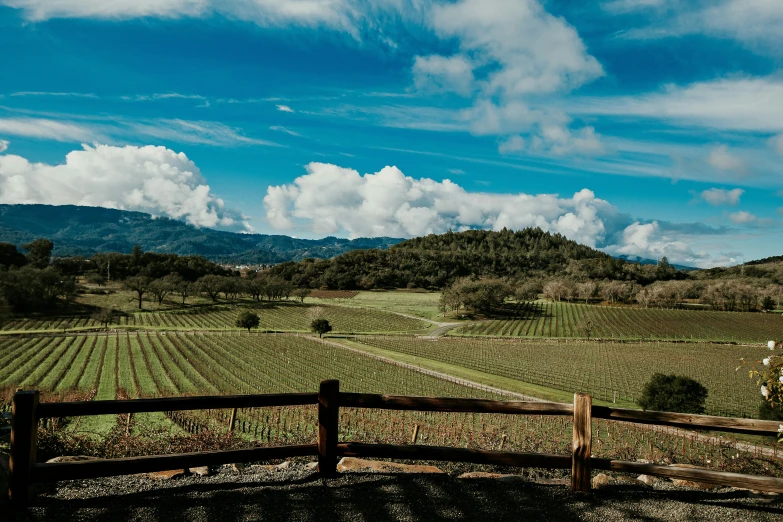 a wooden fence sitting next to a lush green field, by Carey Morris, unsplash contest winner, napa, overlooking a valley, 💋 💄 👠 👗, wine