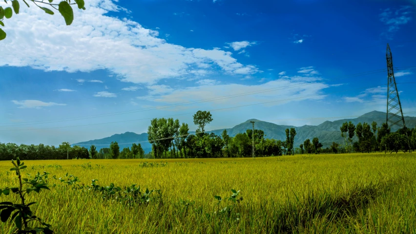 a field of green grass with mountains in the background, by Rajesh Soni, pexels contest winner, hurufiyya, clear blue sky, guwahati, yellow and greens, post processed 4k