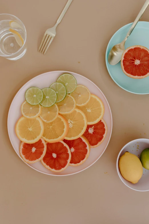 a white plate topped with sliced oranges and limes, by Carey Morris, pink and triadic color scheme, color footage, the table is full of food, sliced grapefruit