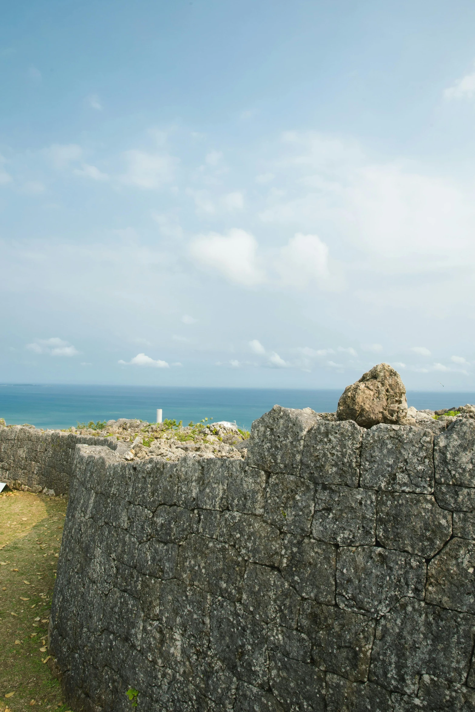 a couple of sheep standing next to a stone wall, by Aguri Uchida, happening, okinawa japan, panoramic view, cannons, remains