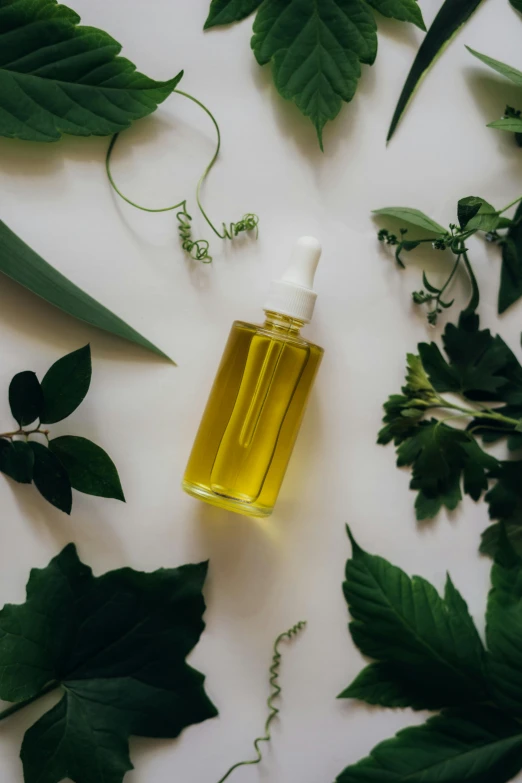 a bottle of essential oil surrounded by green leaves, by Jessie Algie, trending on pexels, renaissance, woman made of plants, studio photo, videogame still, product view