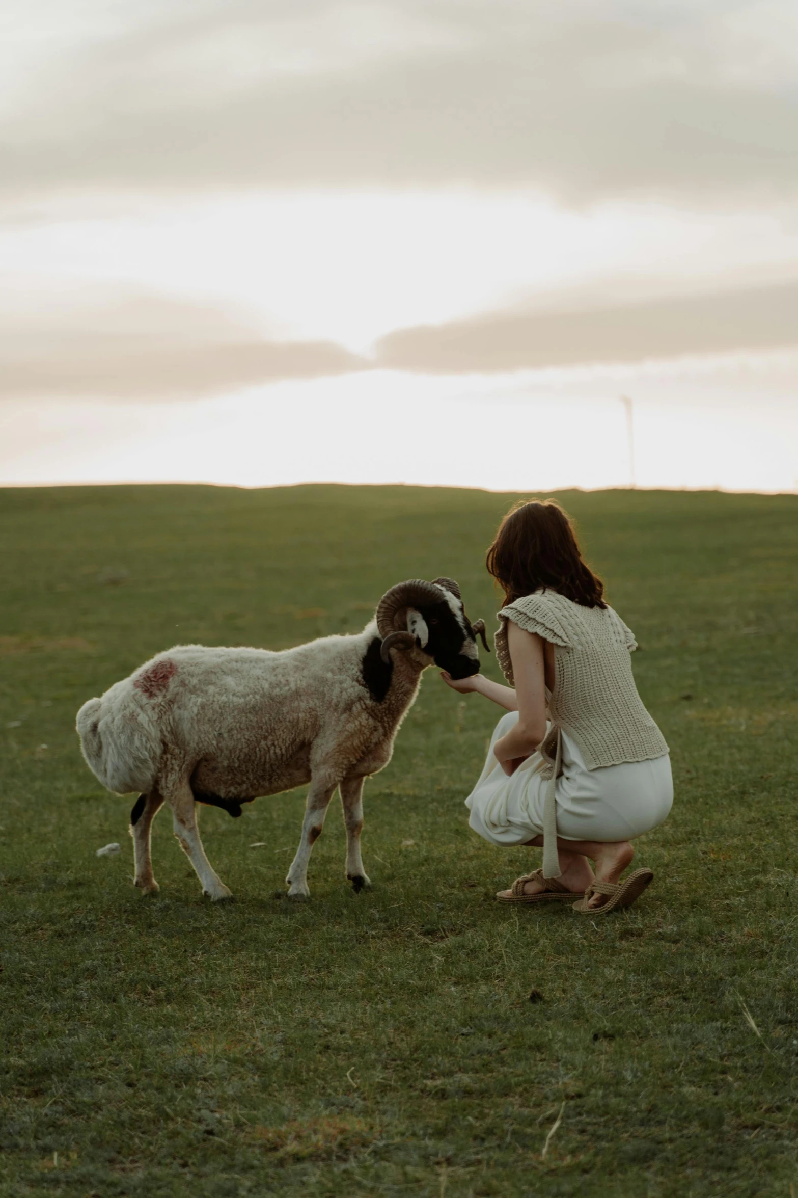 a woman kneeling down petting a sheep in a field, by Lucia Peka, trending on unsplash, romanticism, medium format. soft light, spring evening, movie filmstill, in australia