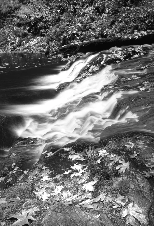 a black and white photo of a waterfall, process art, autum, river rapids, medium format. soft light, 15081959 21121991 01012000 4k