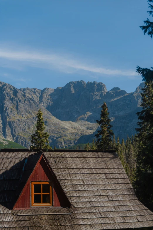 a cabin in the woods with mountains in the background, hurufiyya, hiding in the rooftops, poland, spiky, craggy