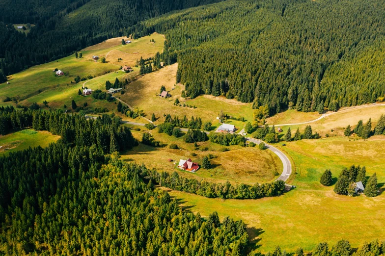 a lush green forest filled with lots of trees, by Franz Hegi, pexels contest winner, houses and roads, carpathian mountains, avatar image, helicopter view