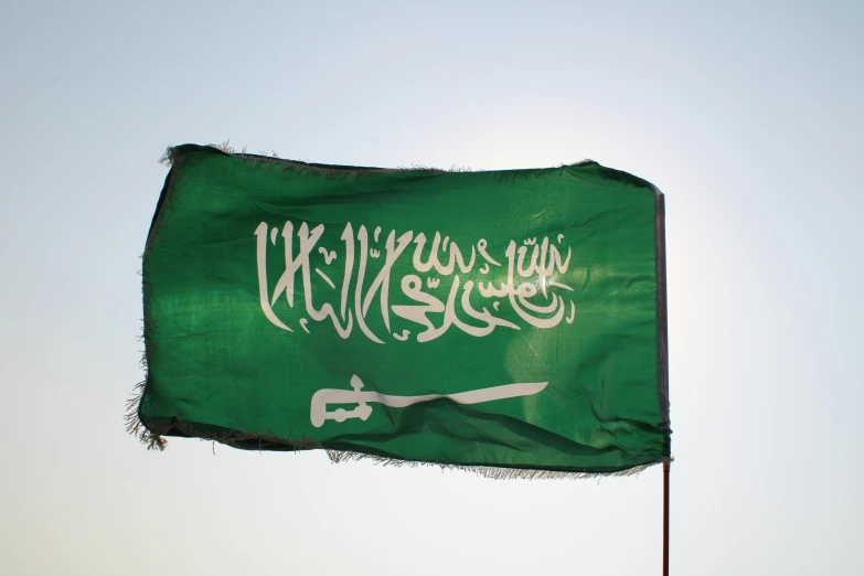 a green and white flag flying in the sky, an album cover, trending on unsplash, hurufiyya, arabian calligraphy, taken in the late 2010s, amnesia, gulf