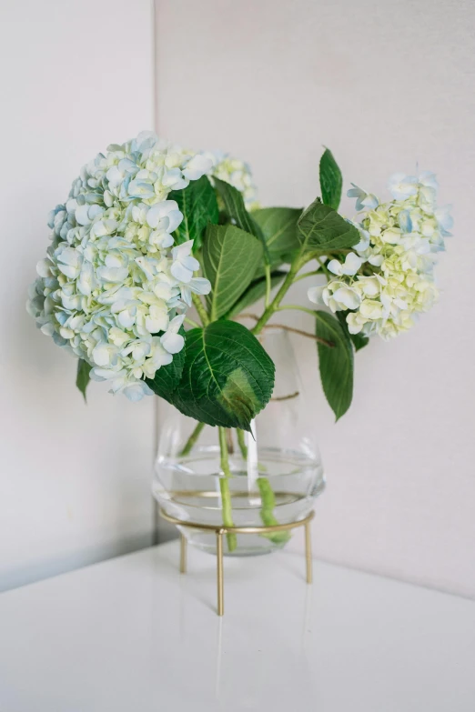 a vase that has some flowers in it, inspired by Constantin Hansen, unsplash, hydrangea, thin gold details, high quality product photo, ornamental halo