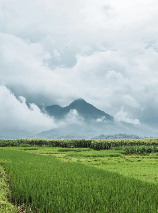 a green field with a mountain in the background, inspired by Zhang Kechun, unsplash contest winner, sumatraism, low clouds after rain, today\'s featured photograph 4k, fine art print, “organic