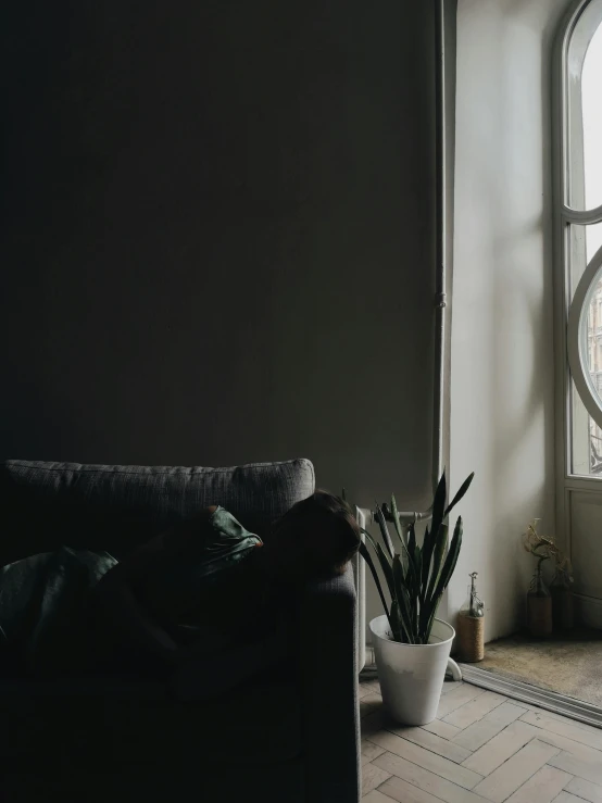 a living room filled with furniture and a large window, inspired by Elsa Bleda, pexels contest winner, postminimalism, underexposed grey, old couch, houseplant, low quality photo