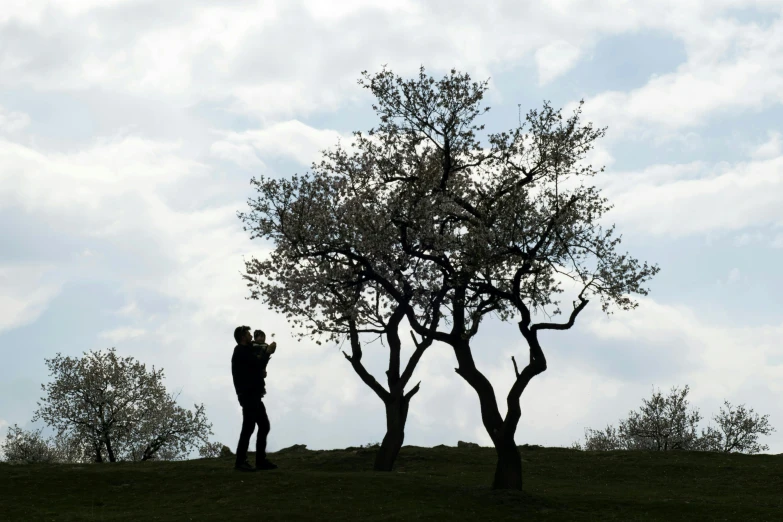 a man standing next to a tree on top of a hill, taking a picture, photographed for reuters, early spring, aesthetics