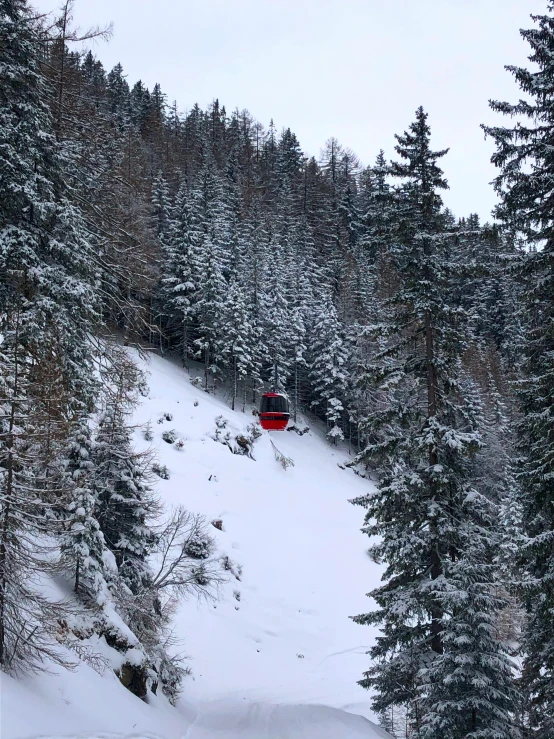 a person riding skis down a snow covered slope, on trees, gondola, profile image, from the distance