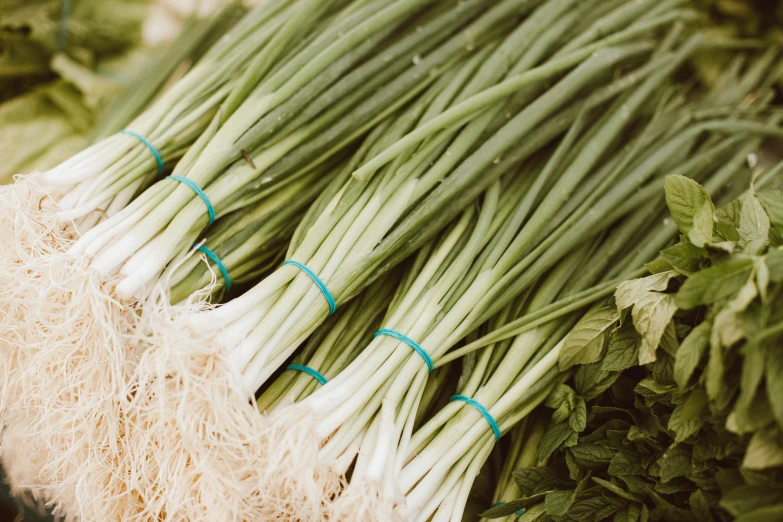 a bunch of green onions sitting on top of a table, by Carey Morris, unsplash, farmer's market setting, avatar image