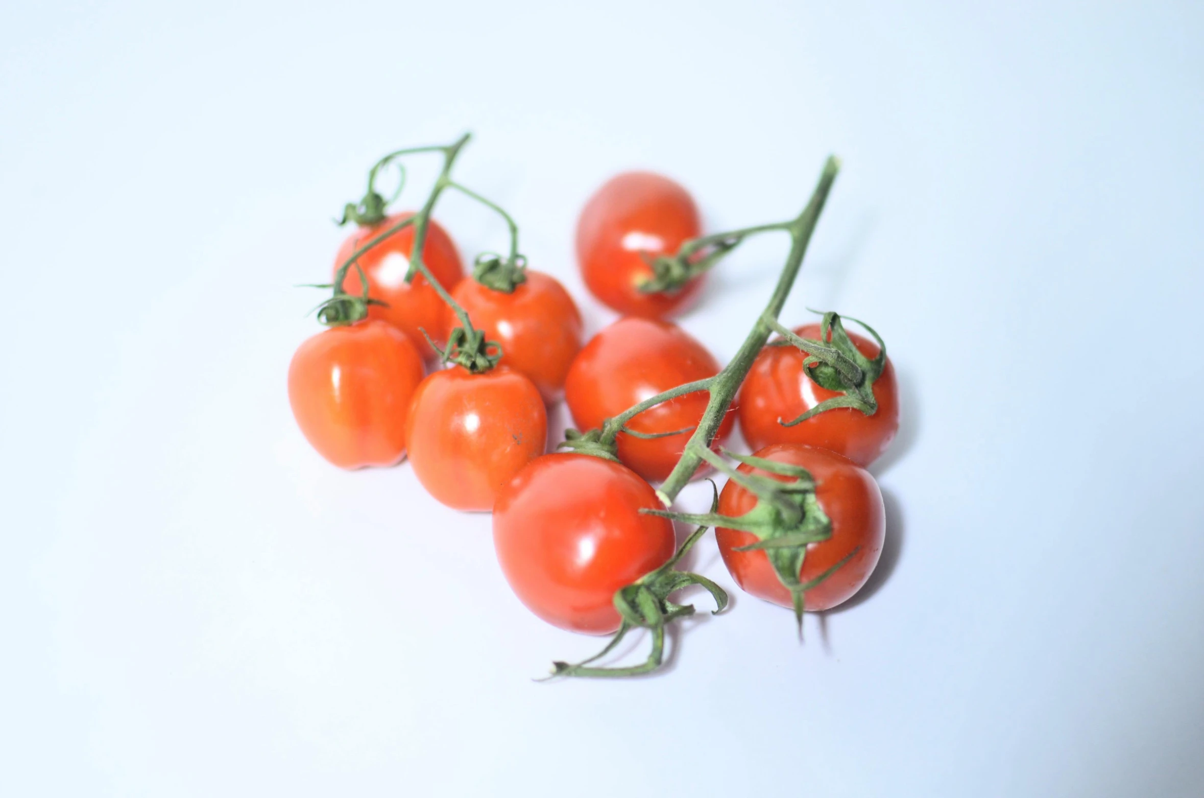 a bunch of tomatoes sitting on top of a white table, shot on sony alpha dslr-a300, vine, background image, good lighted photo