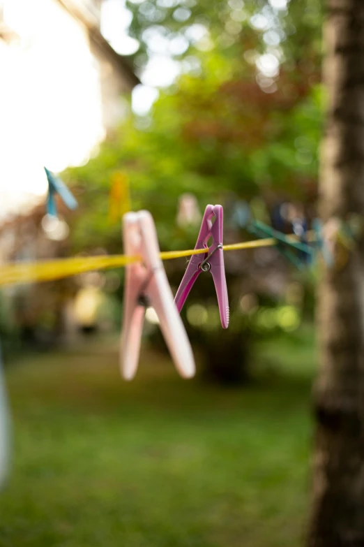 a couple of clothes hanging on a clothes line, inspired by Clarice Beckett, unsplash, detail shot, in the garden, pink and yellow, paul barson