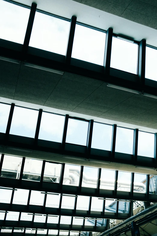 an escalator in a building with lots of windows, by David Donaldson, office ceiling panels, university, black windows, sky