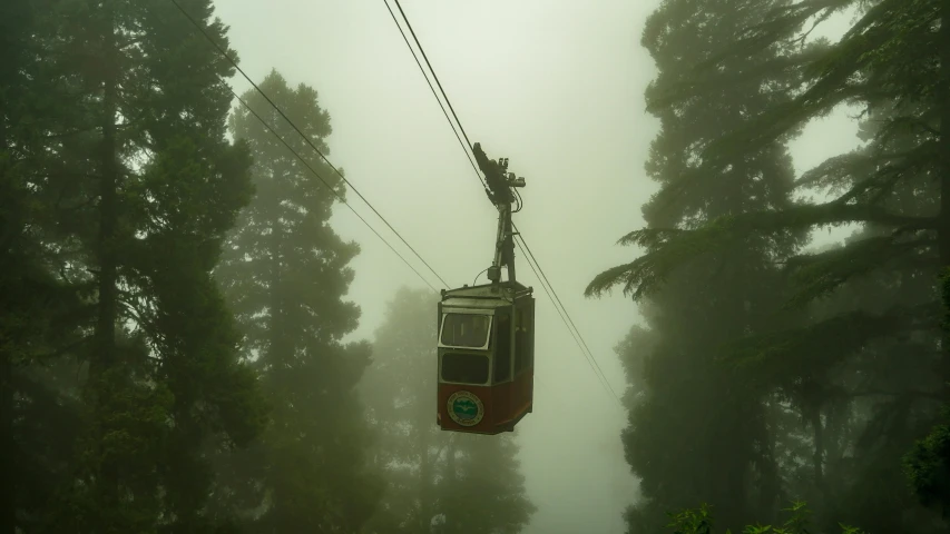 a cable car in the middle of a foggy forest, sumatraism, avatar image, 2022 photograph, eucalyptus, image