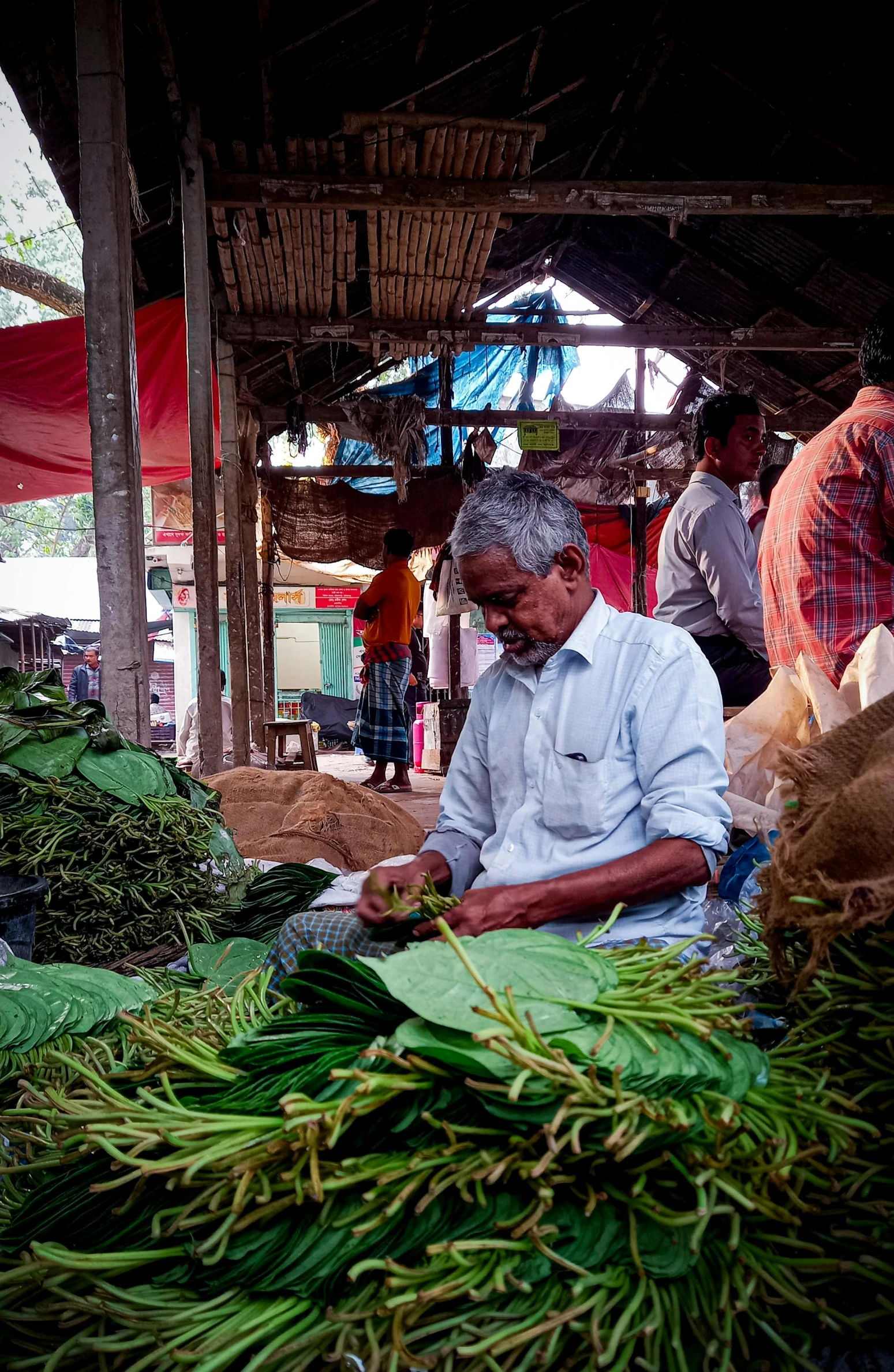 a man sitting in front of a pile of vegetables, kerala motifs, busy market, big leaves and stems, apothecary