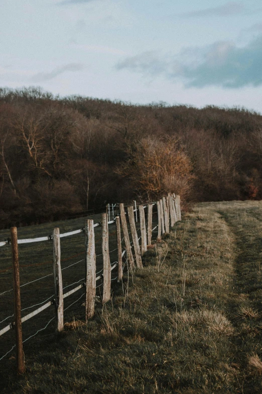 a fence in a field with trees in the background, by Adam Szentpétery, trending on pexels, land art, hiking trail, korean countryside, half image