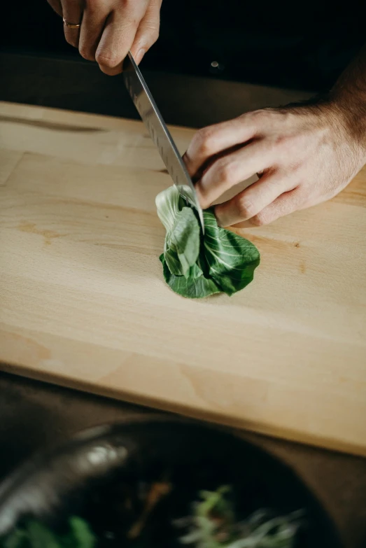 a person cutting lettuce on a cutting board, renaissance, ash thorp, basil, wok, rectangle