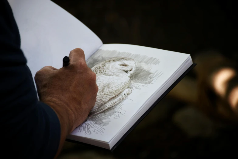 a close up of a person holding a book, a drawing, wildlife drawing, sketching, brown