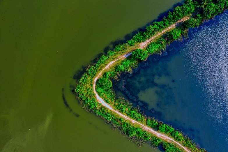 an aerial view of a road next to a body of water, pexels contest winner, land art, green and blue, louisiana, instagram photo, historical photo