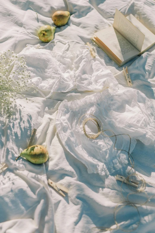 an open book sitting on top of a bed covered in white sheets, a still life, inspired by Elsa Bleda, unsplash contest winner, conceptual art, picnic, white robe with gold accents, white sand, wrapped in cables and flowers