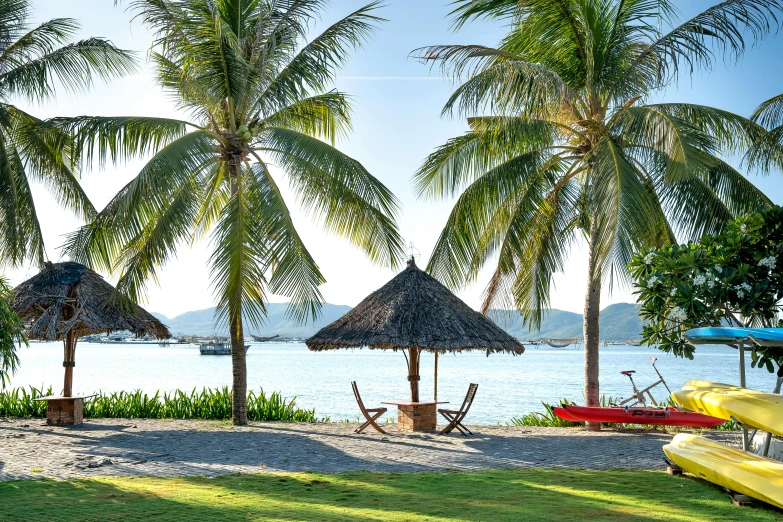 a group of umbrellas sitting on top of a lush green field, palm trees on the beach, thatched roof, in style of lam manh, islands