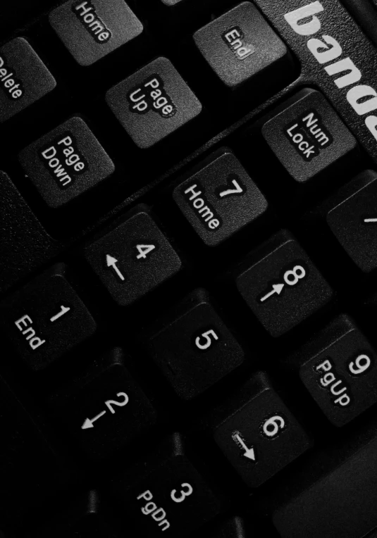 a black and white photo of a keyboard, a macro photograph, by Adam Chmielowski, computer art, ergodox, buttons, seven, black colors