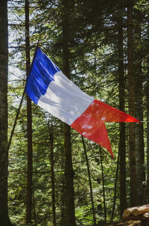 a red, white and blue flag flying in a forest, by Raphaël Collin, unsplash, renaissance, features between french, 🚿🗝📝, brown, celebration