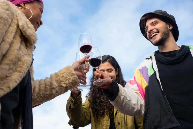 a group of people toasting with wine glasses, multicoloured, seasonal, guide, ariel perez