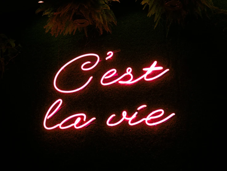 there is a neon sign that says cest la vie, pexels, inspo, french, life size, low iso