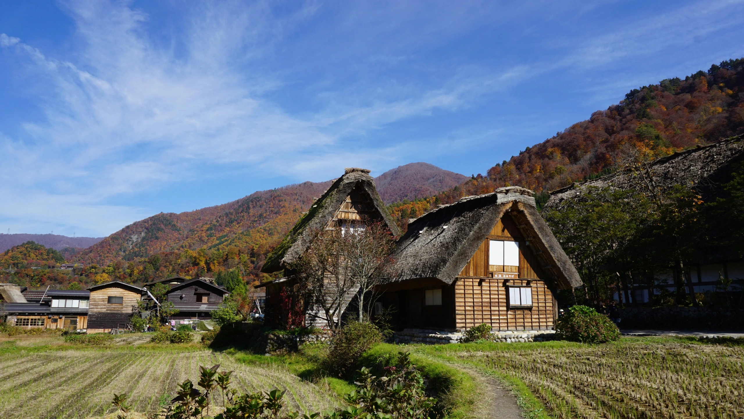 a couple of thatched houses sitting on top of a lush green field, unsplash, sōsaku hanga, in autumn, slide show, multiple stories, murata range