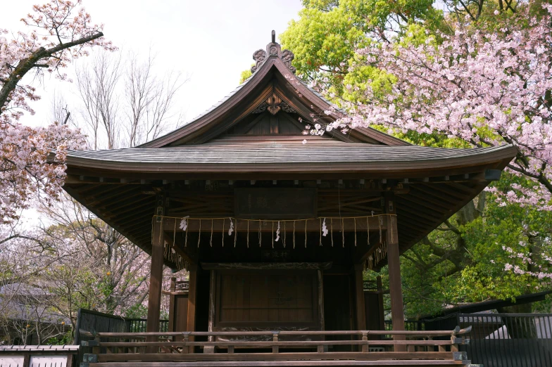 a pagoda with cherry trees in the background, a picture, unsplash, sōsaku hanga, covered outdoor stage, peaceful wooden mansion, 2 0 0 0's photo, fan favorite