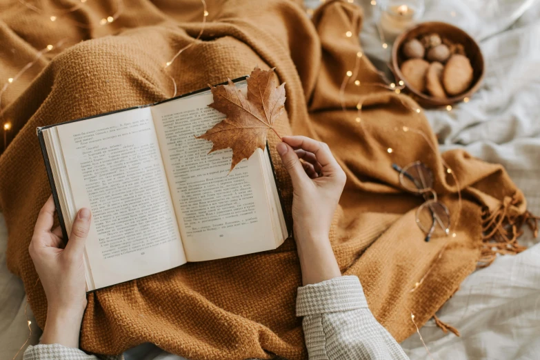 a person laying on a bed reading a book, pexels contest winner, falling leaves, wearing a brown cape, sustainable materials, reading for a party