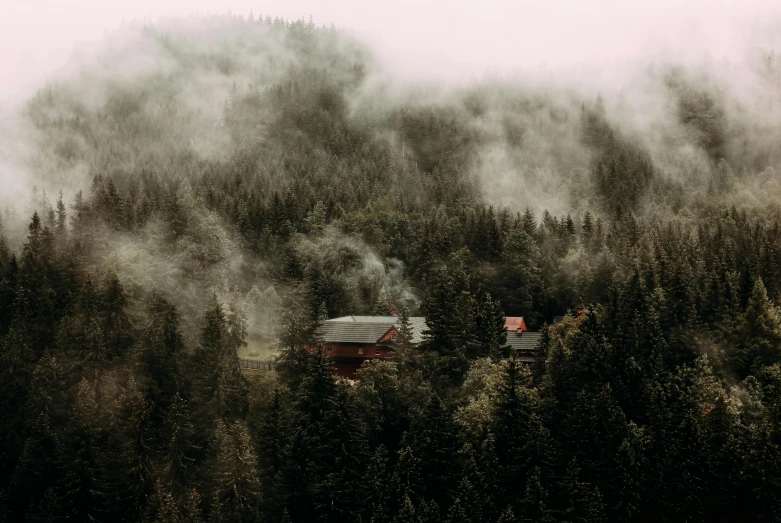 a small cabin in the middle of a forest, inspired by Elsa Bleda, pexels contest winner, in clouds of smoke, still frame the retro twin peaks, maroon mist, a high angle shot