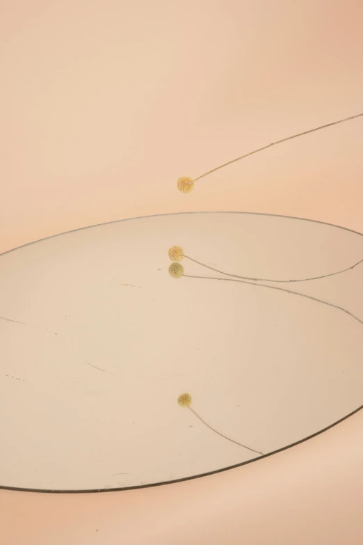 a mirror sitting on top of a table, inspired by Lucio Fontana, trending on unsplash, kinetic art, exploded view, peach embellishment, thin wires, stopmotion animation