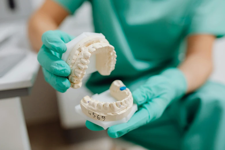 a close up of a person holding a model of a tooth, profile image, surgical supplies, 2263539546], bone jewellery