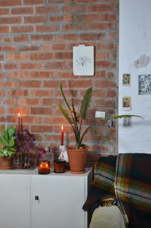 a living room filled with furniture and a brick wall, inspired by Elsa Bleda, pexels contest winner, natural candle lighting, plant specimens, apartment of an art student, profile image