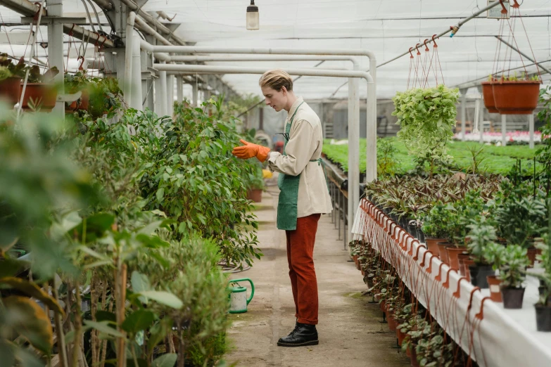 a man standing in a greenhouse holding a carrot, pexels, renaissance, wearing overalls, inspect in inventory image, woman made of plants, thumbnail