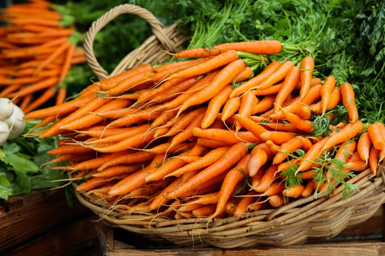 a basket full of carrots sitting on top of a table, piled around, avatar image, no cropping, fan favorite